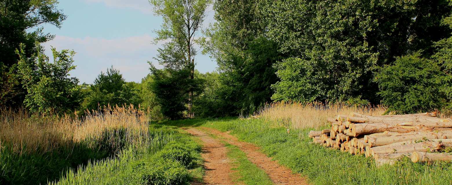 mountain-biking-around-berlin-the-top-10-best-routes-komoot