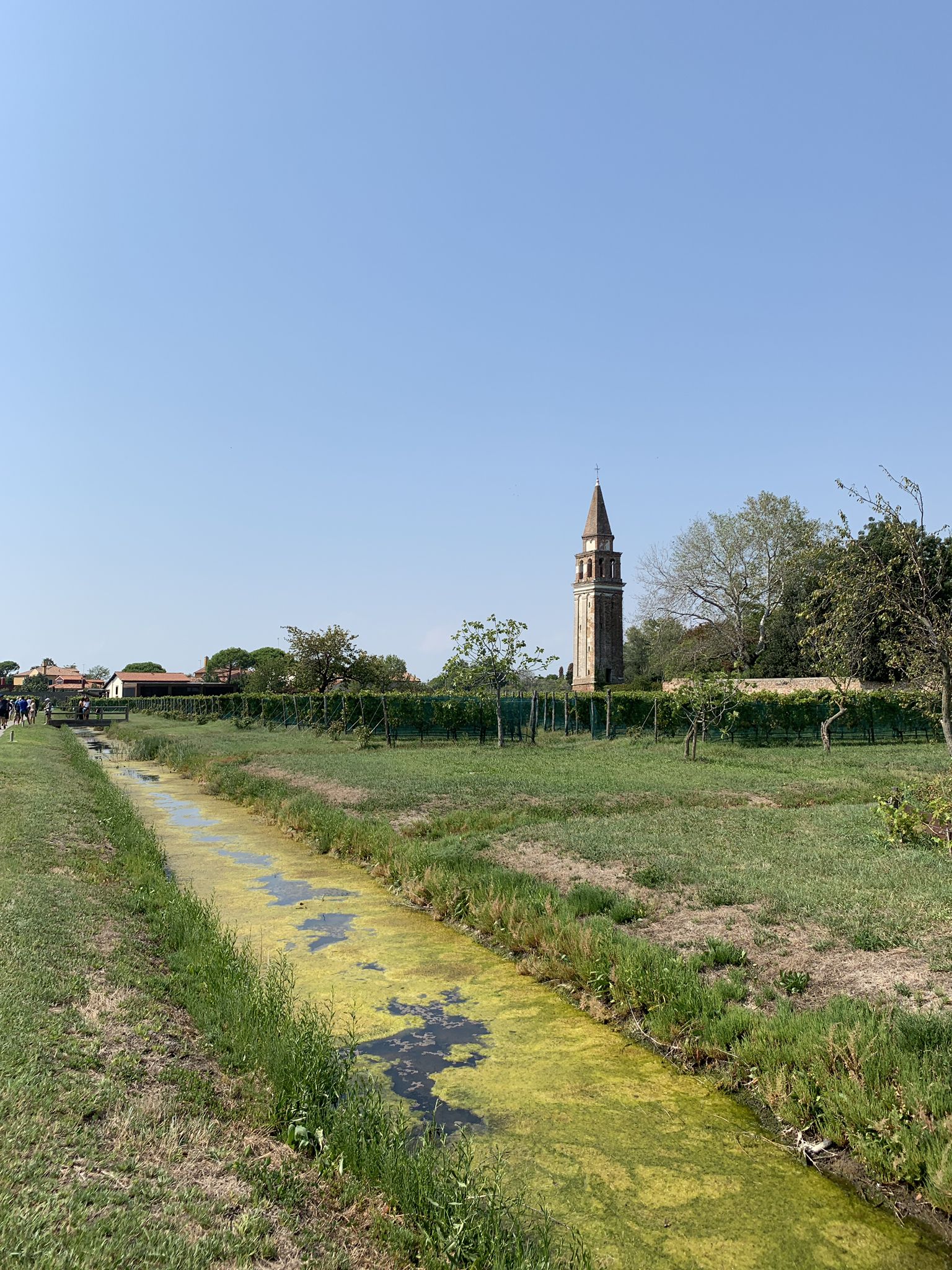 tour venezia e dintorni