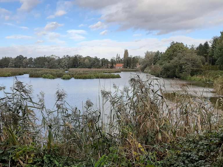 De beste hardlooproutes rond Lokeren | Komoot