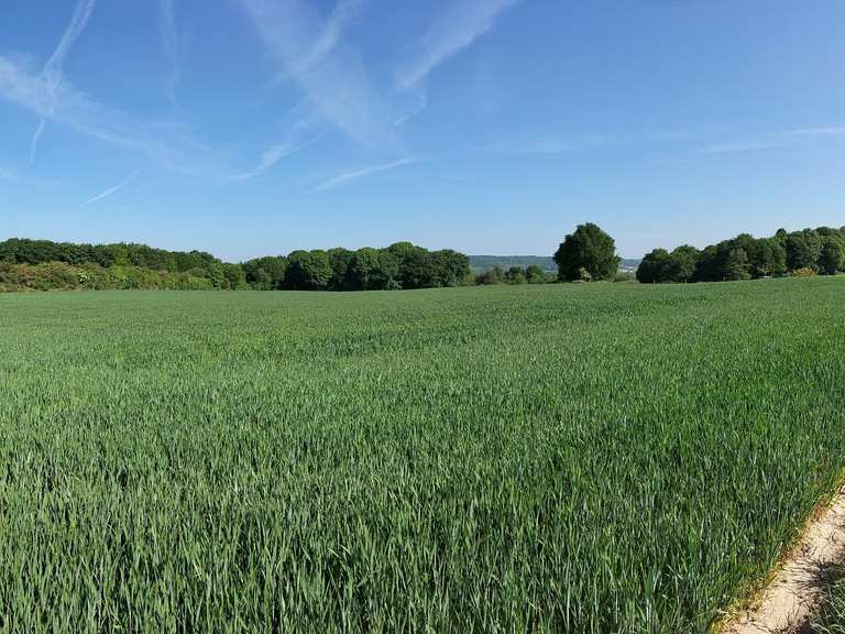 De 10 mooiste wandelroutes rond Ronse | Komoot