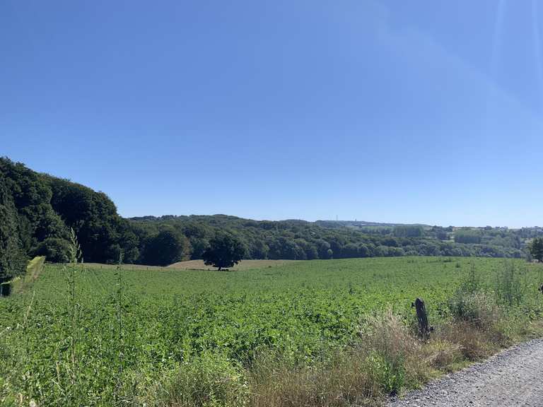De mooiste bezienswaardigheden rond Ronse - Top 20 | Komoot