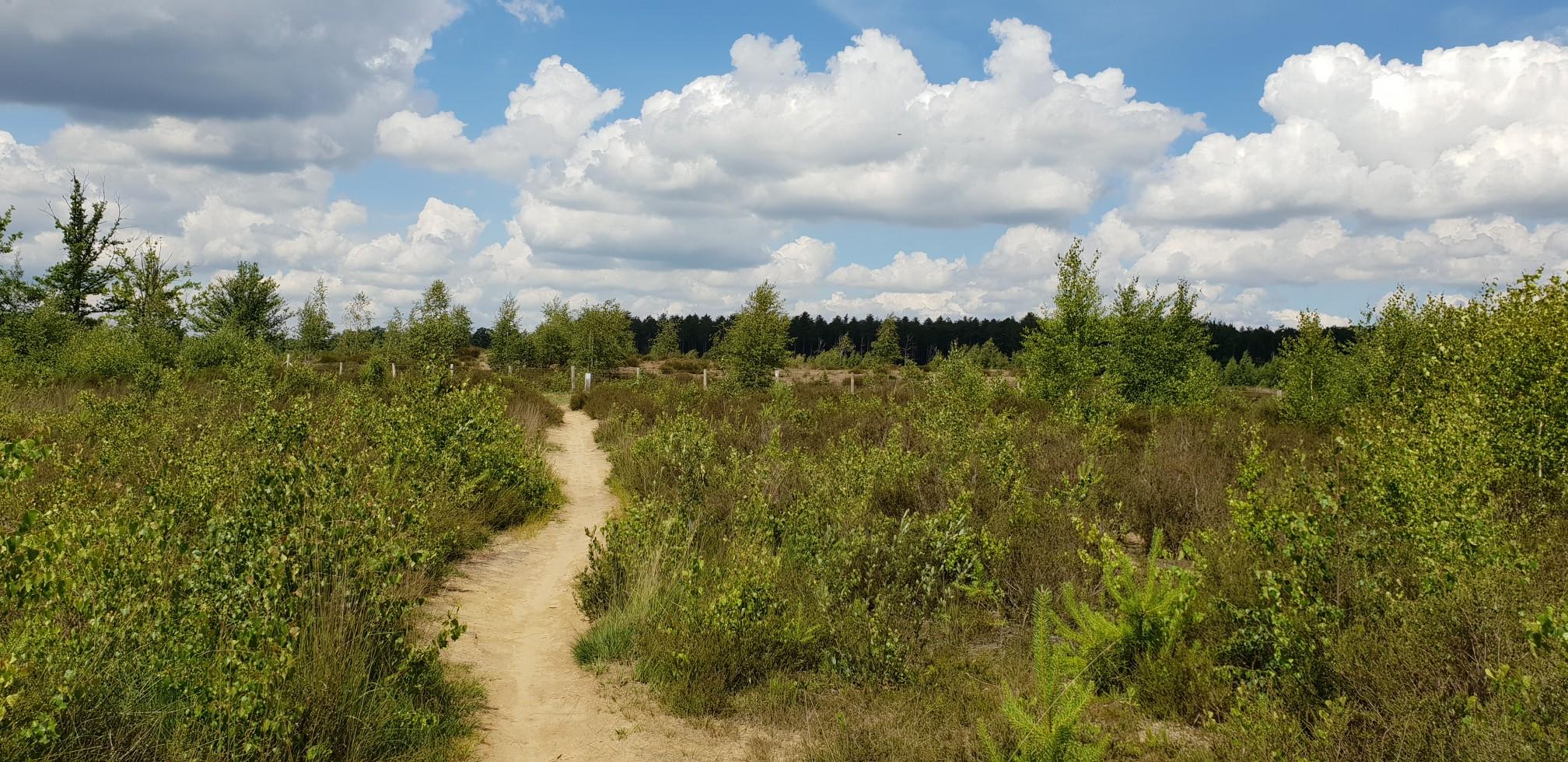 De 20 Mooiste Wandelroutes Rond Hasselt | Komoot