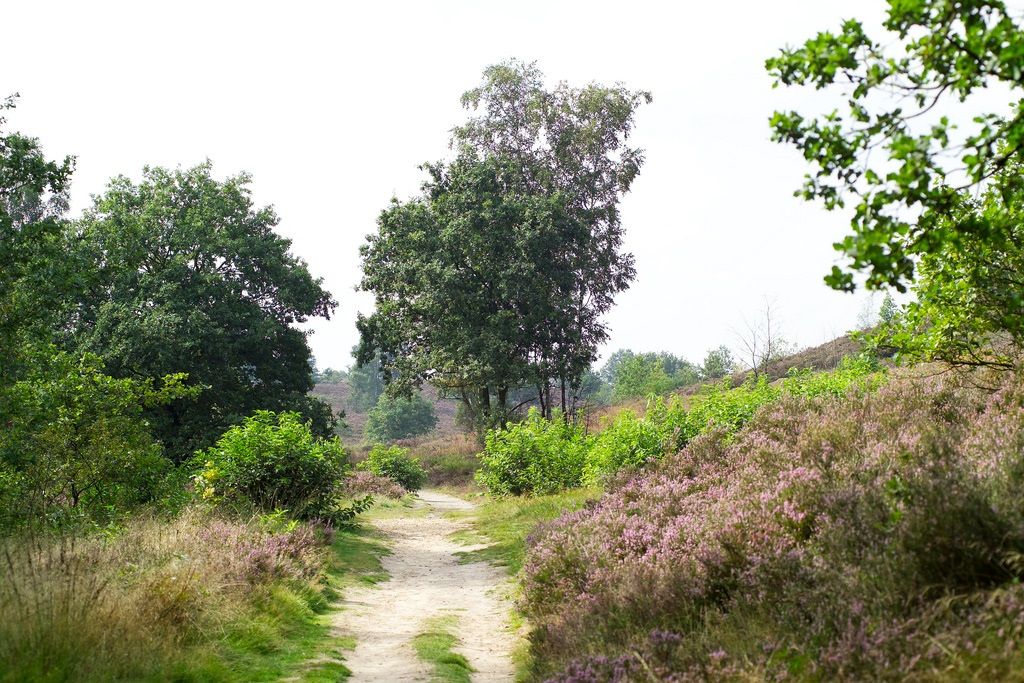 trek fiets hasselt