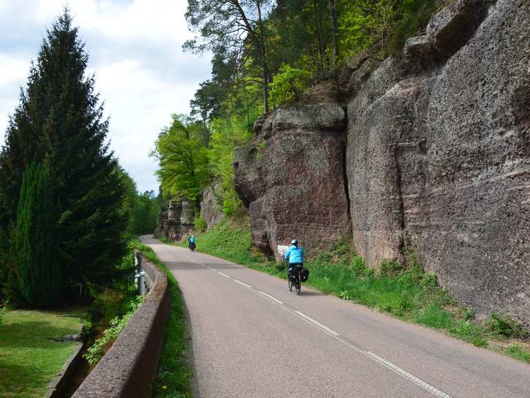 rennrad rahmen kaufen Disc Rennrad Rahmen A9  ICAN Cycling