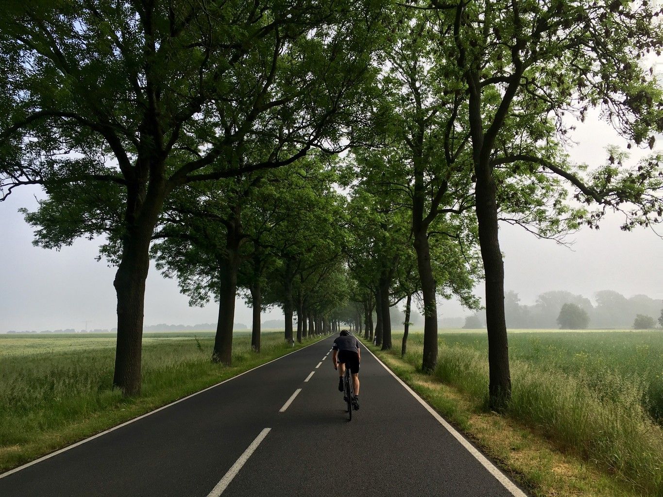 best bike tour in berlin