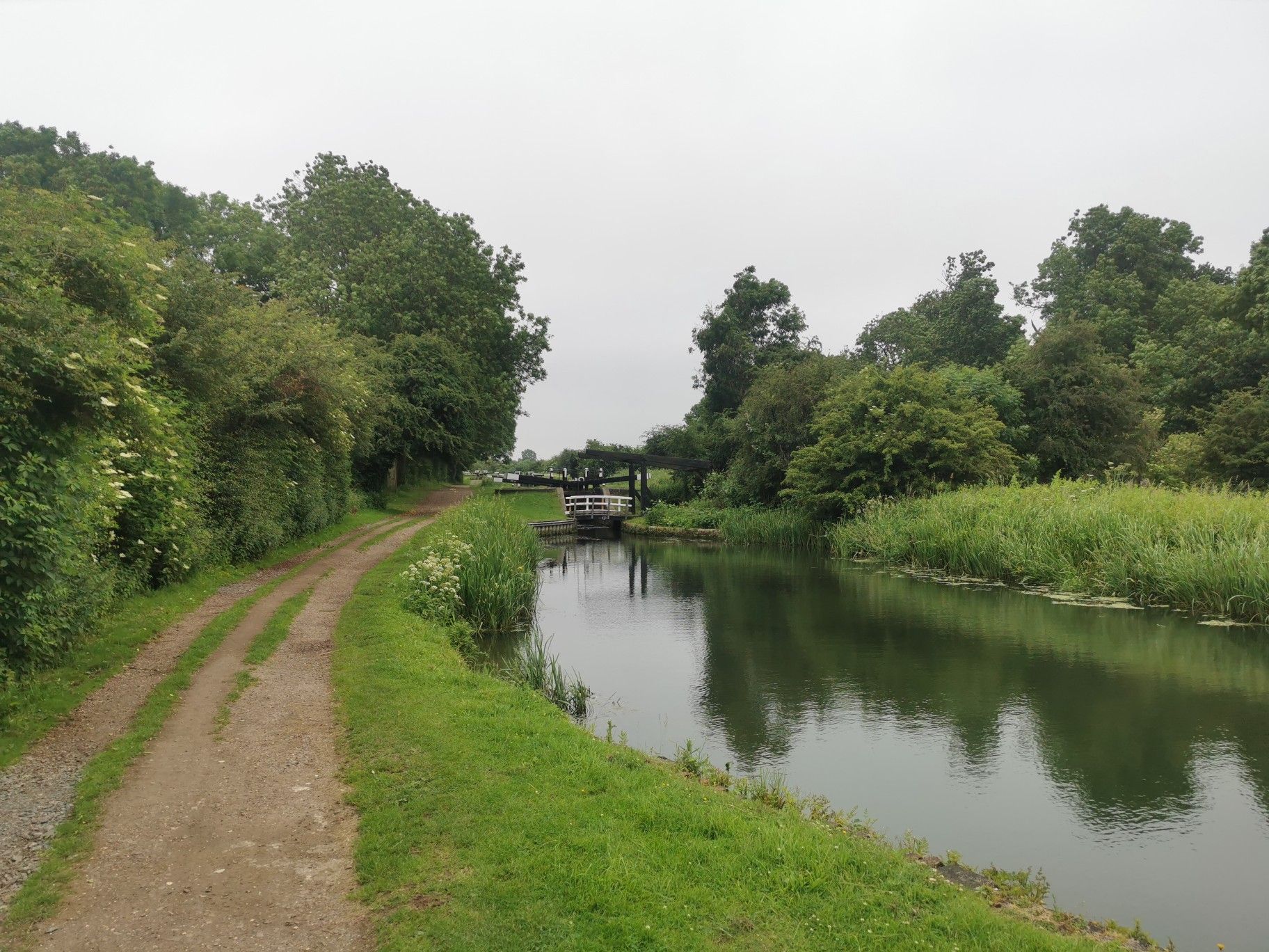 Hunsbury Meadows
