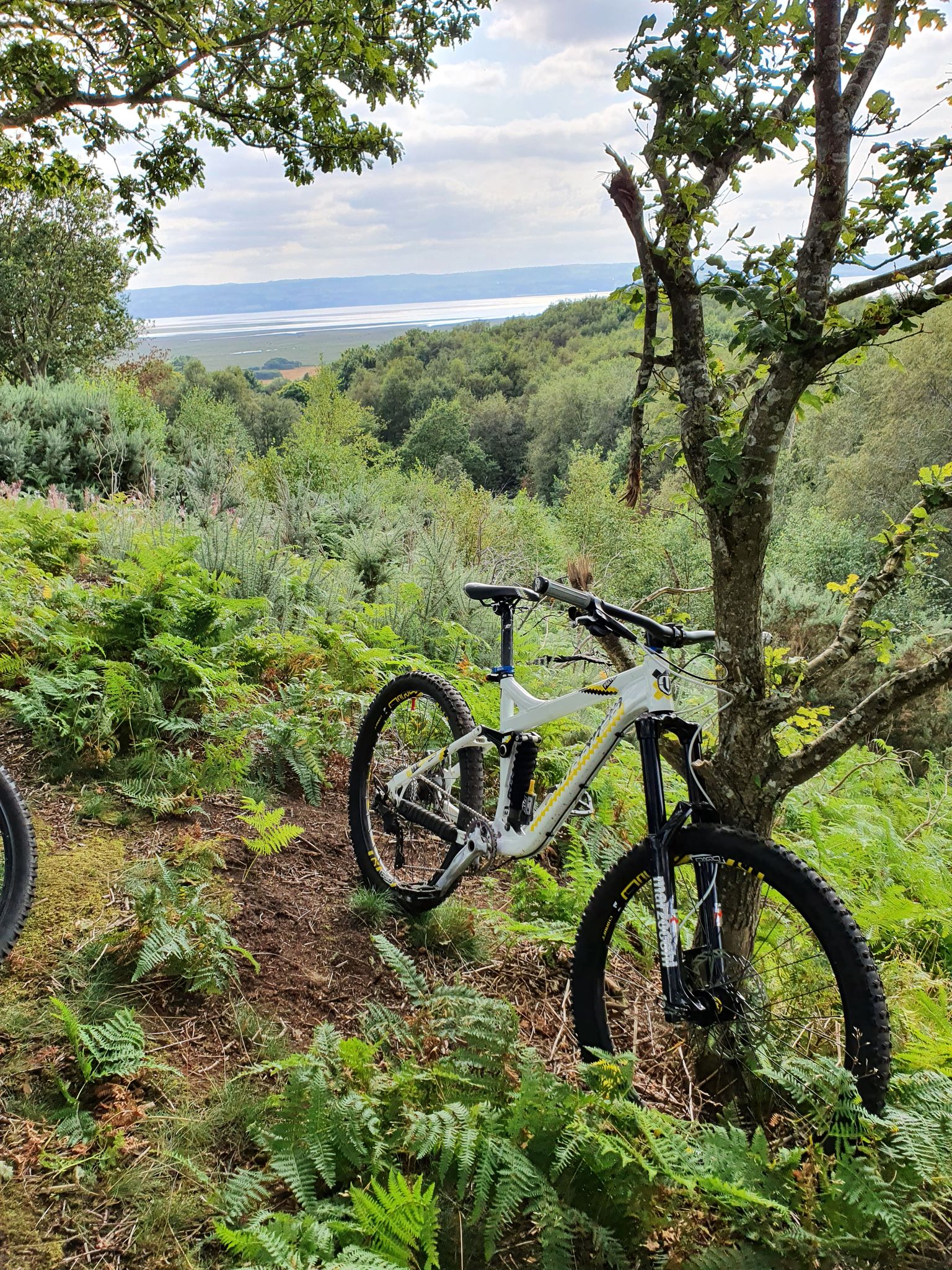 Top 10 Most Beautiful MTB Trails around Wirral Komoot