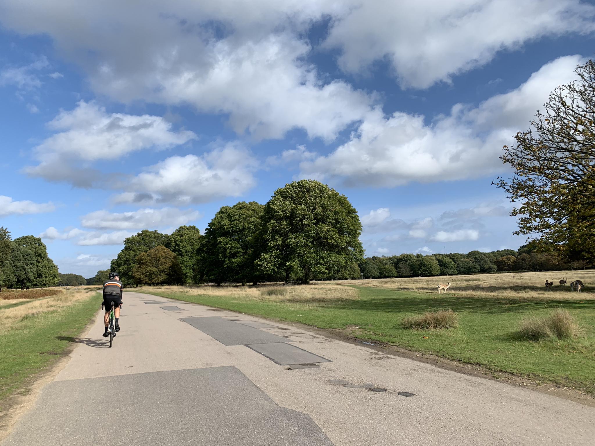 Top 20 Most Beautiful Road Biking Routes Around Epsom And Ewell | Komoot