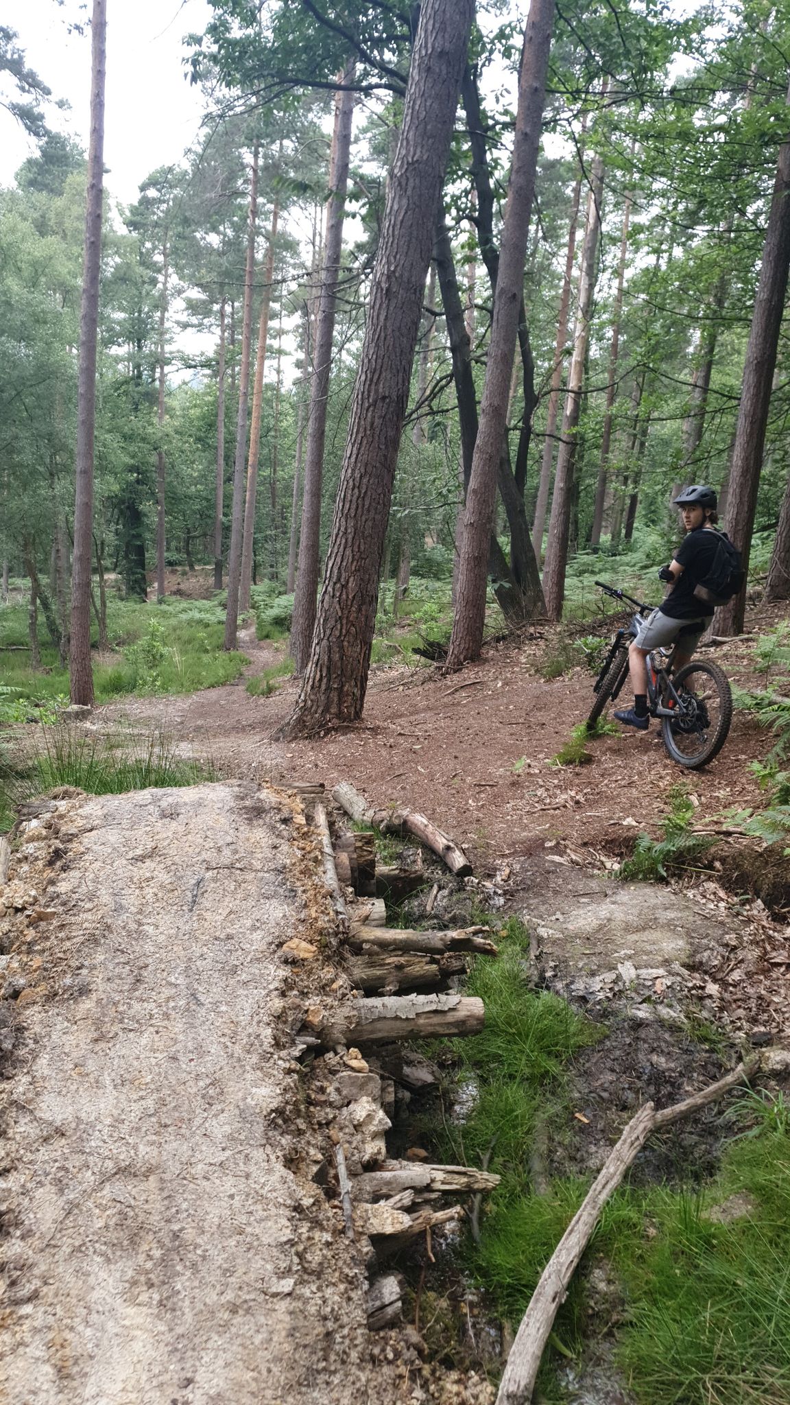 Best mountain biking trails near me sale