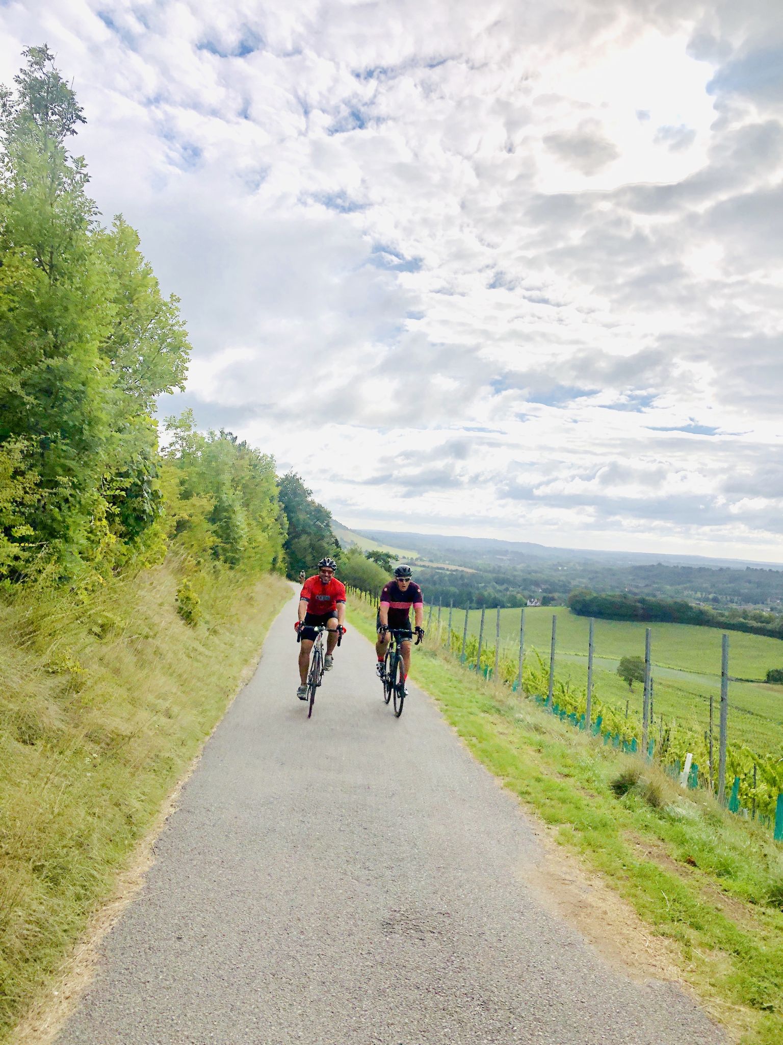 Top 20 Bike Rides and Cycling Routes around Mole Valley Komoot