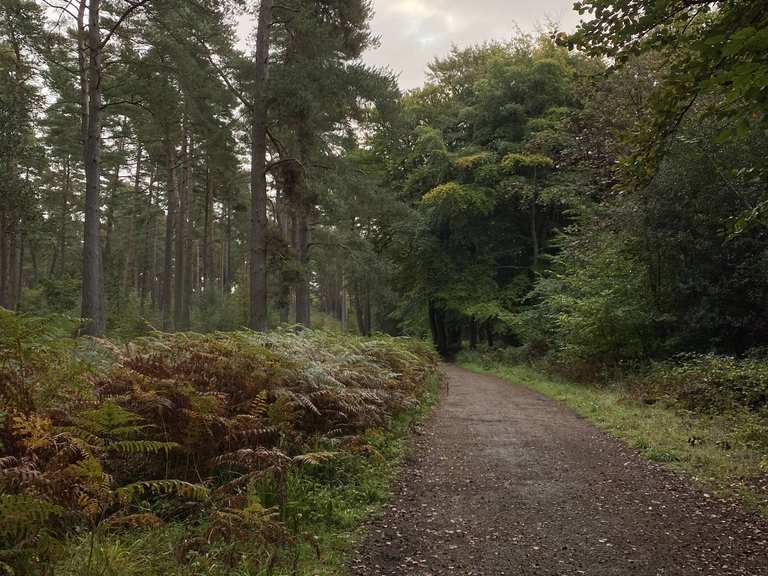The best cycling routes around Guildford | Komoot
