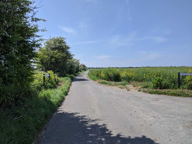 Top 10 Most Beautiful Road Biking Routes around Castle Point Komoot