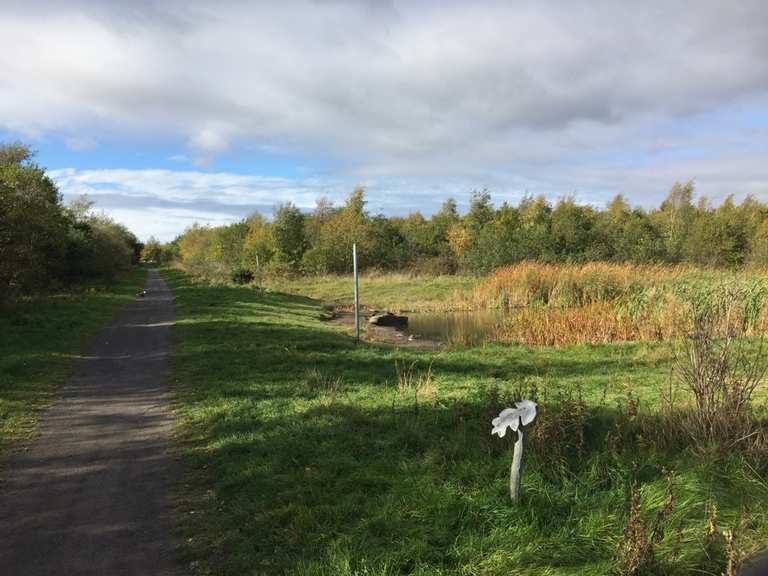 Top 10 Bike Rides And Cycling Routes Around South Tyneside 