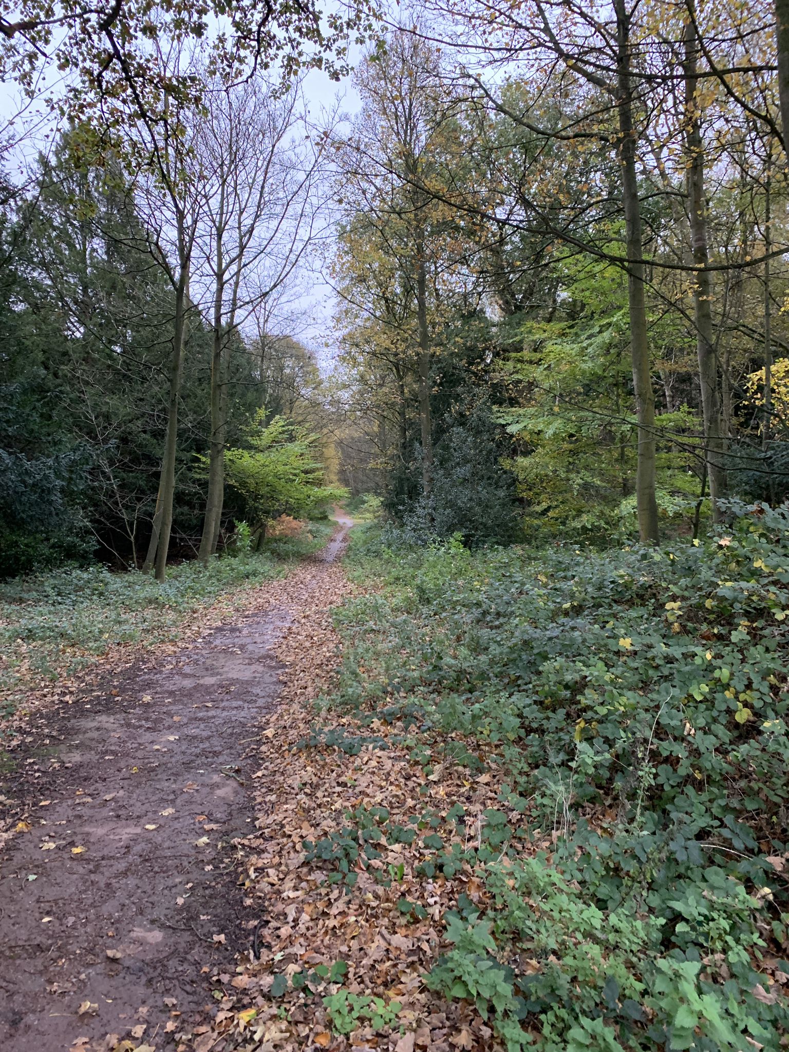 Top 10 Most Beautiful MTB Trails around Newark And Sherwood Komoot