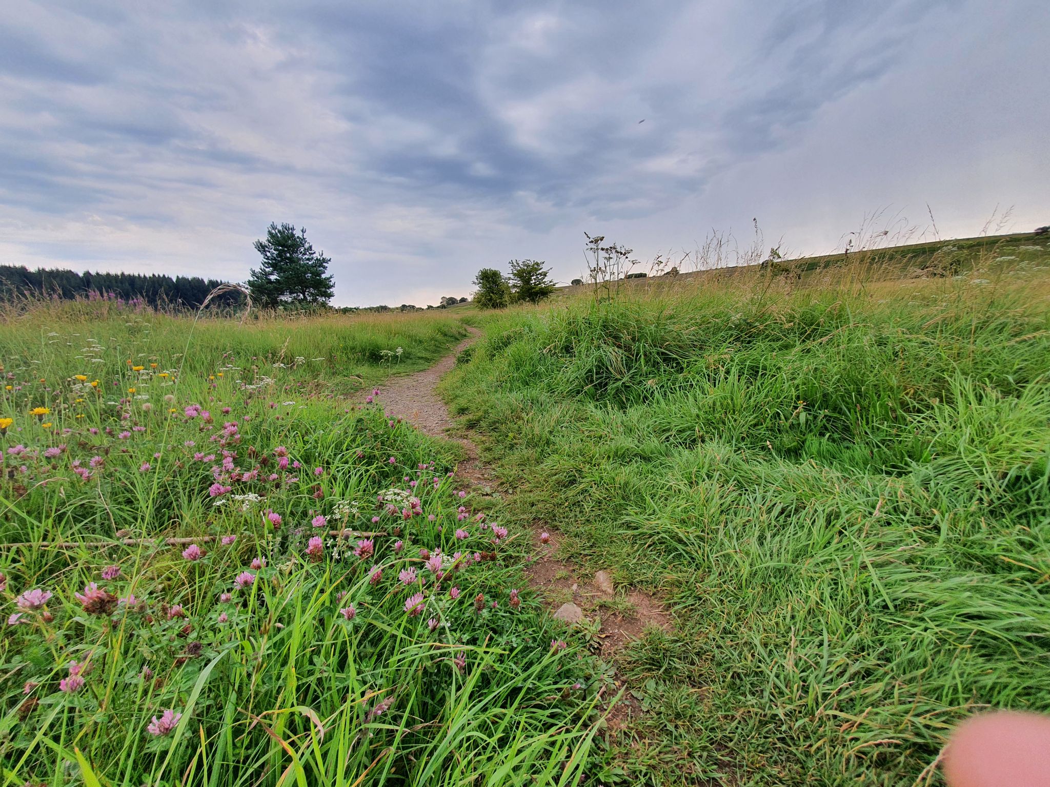 visit mendip hills