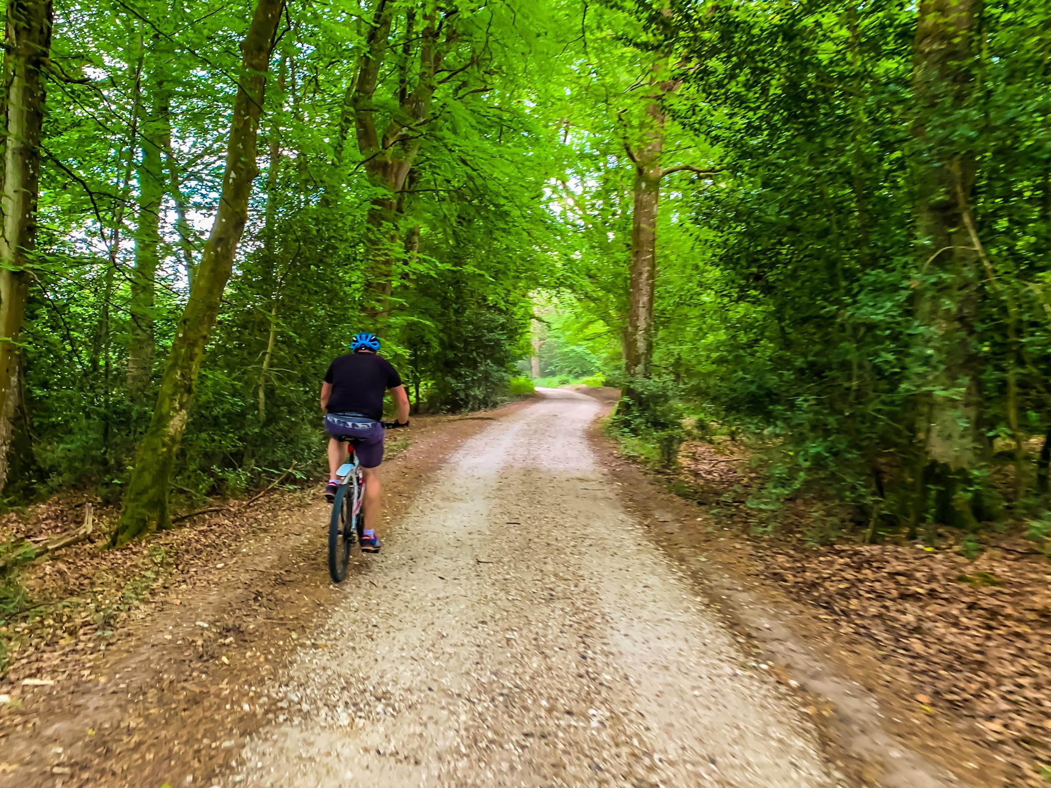 new forest bike trails