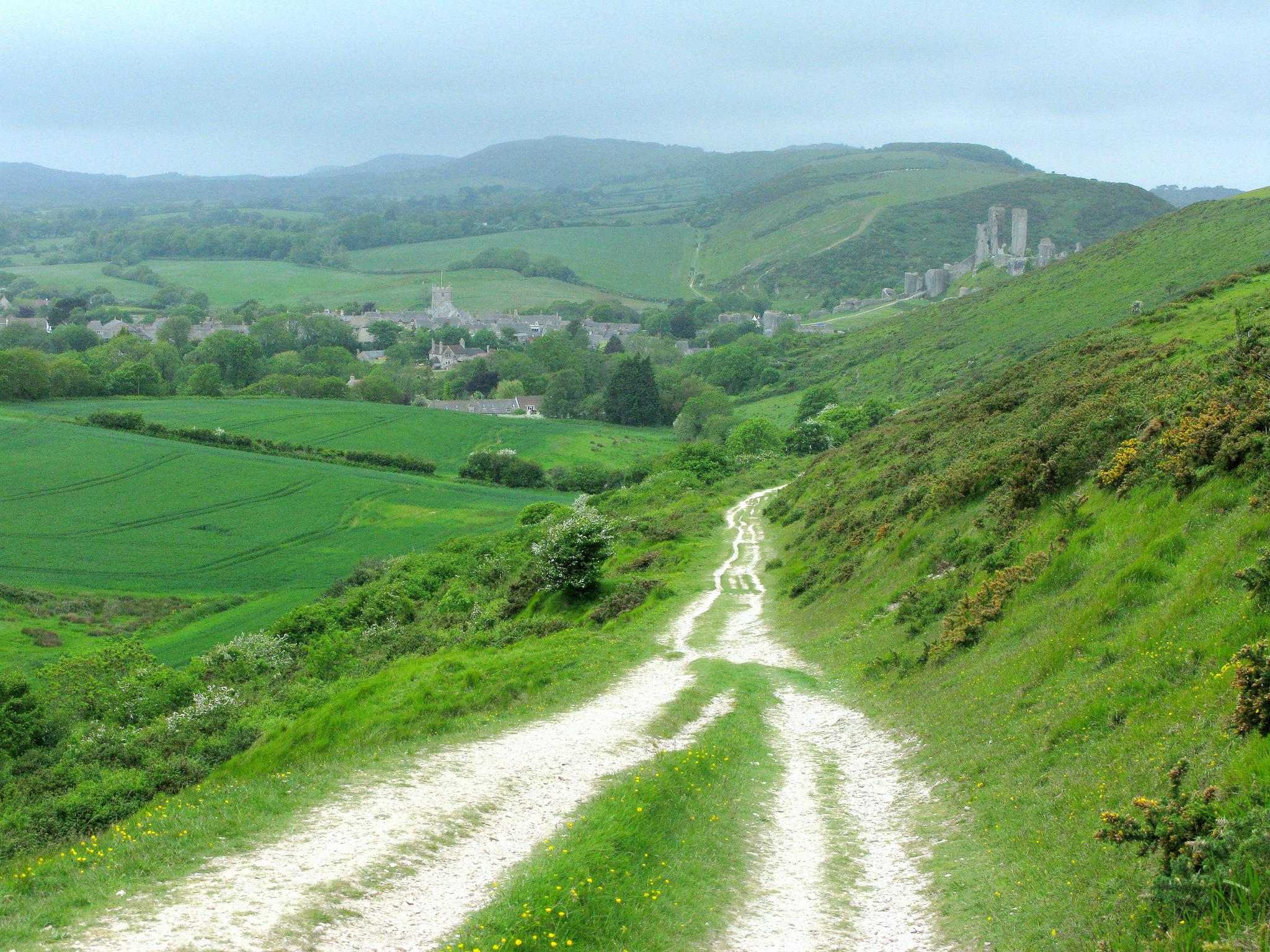 mtb trails dorset