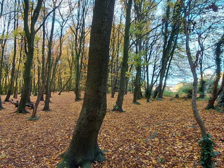 Top 20 Hikes and Walks around Cheltenham Komoot