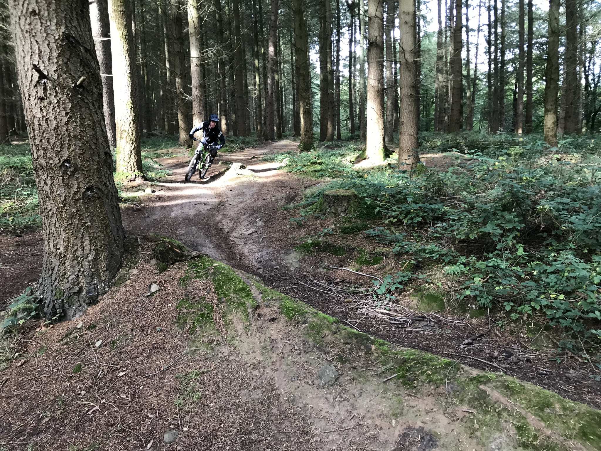 Forest of best sale dean mountain biking