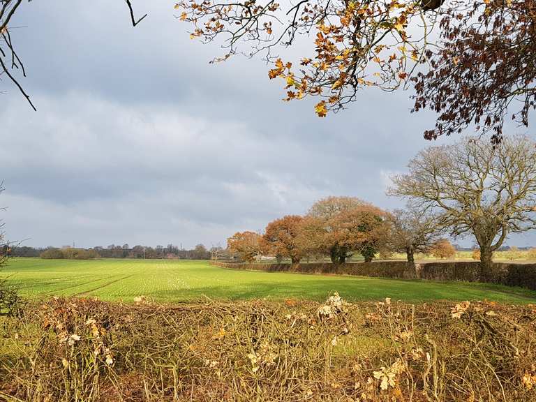 Top 20 Hikes and Walks around Warwick Komoot