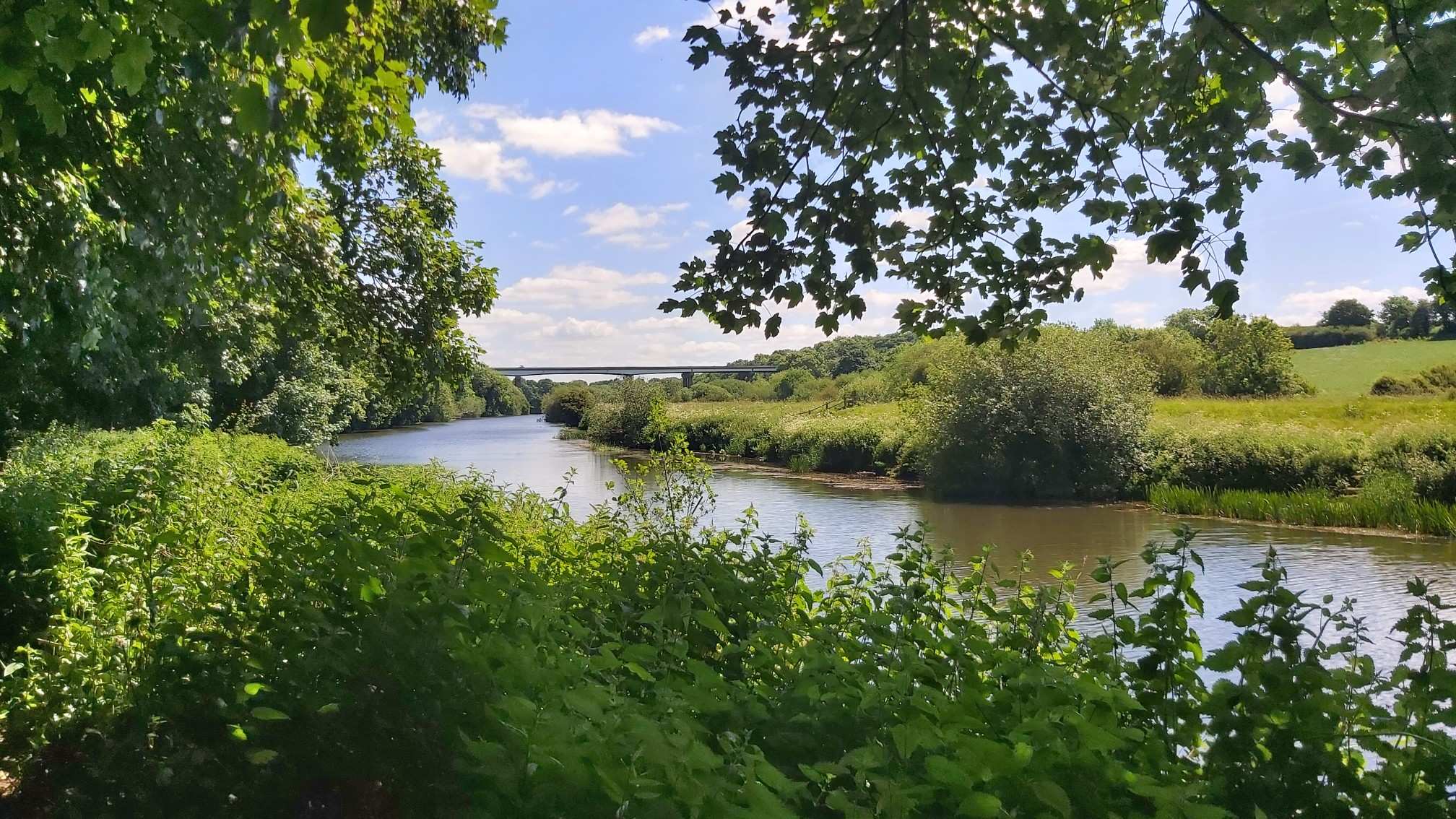 Top 20 Hikes and Walks around Doncaster Komoot