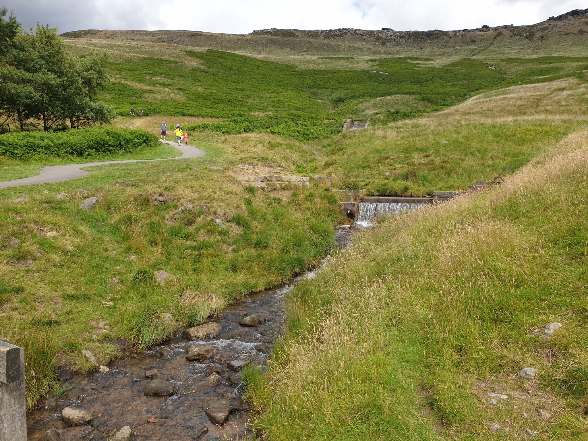 Single track near me hotsell