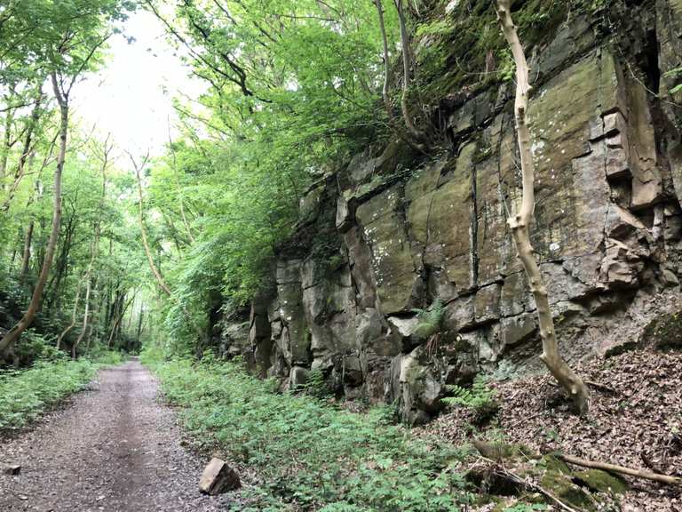 Top 5 Most Beautiful MTB Trails around Ripley | Komoot