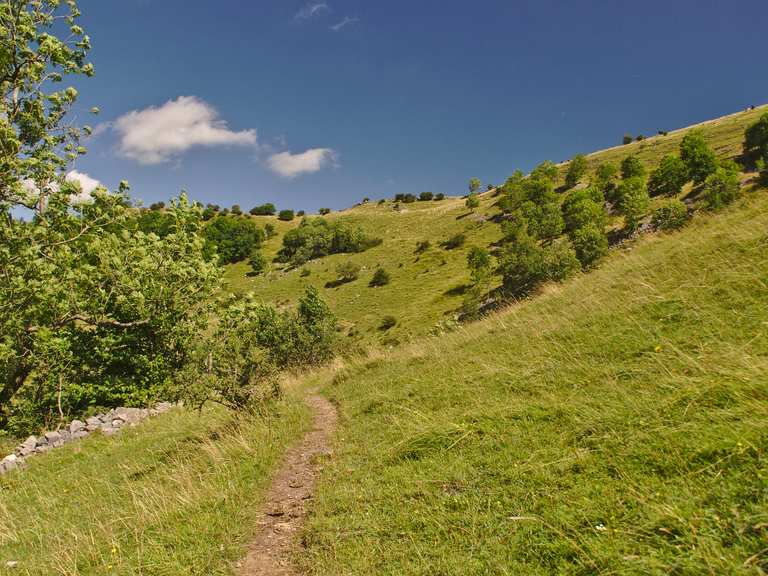 Top 5 Hikes and Walks around