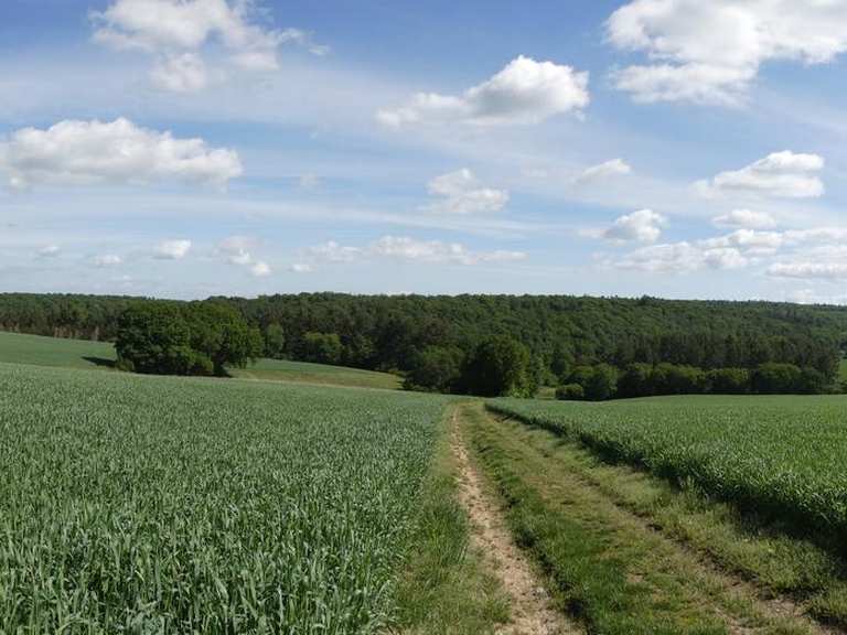 Die 10 schönsten Wanderungen rund um Weisel | Komoot