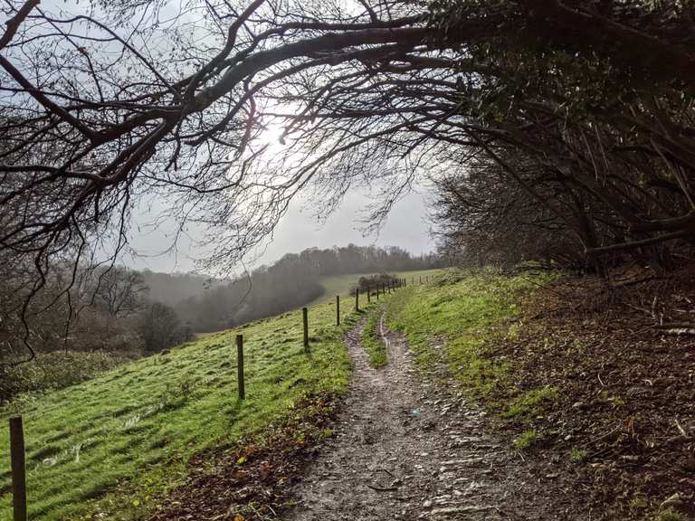 wiltshire mountain bike trails