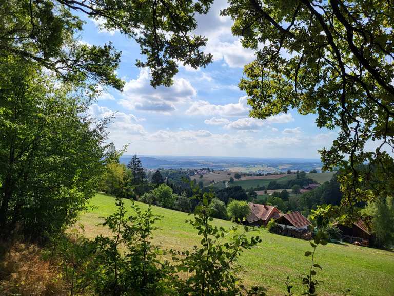 Die schönsten Wanderungen rund um Windberg | Komoot
