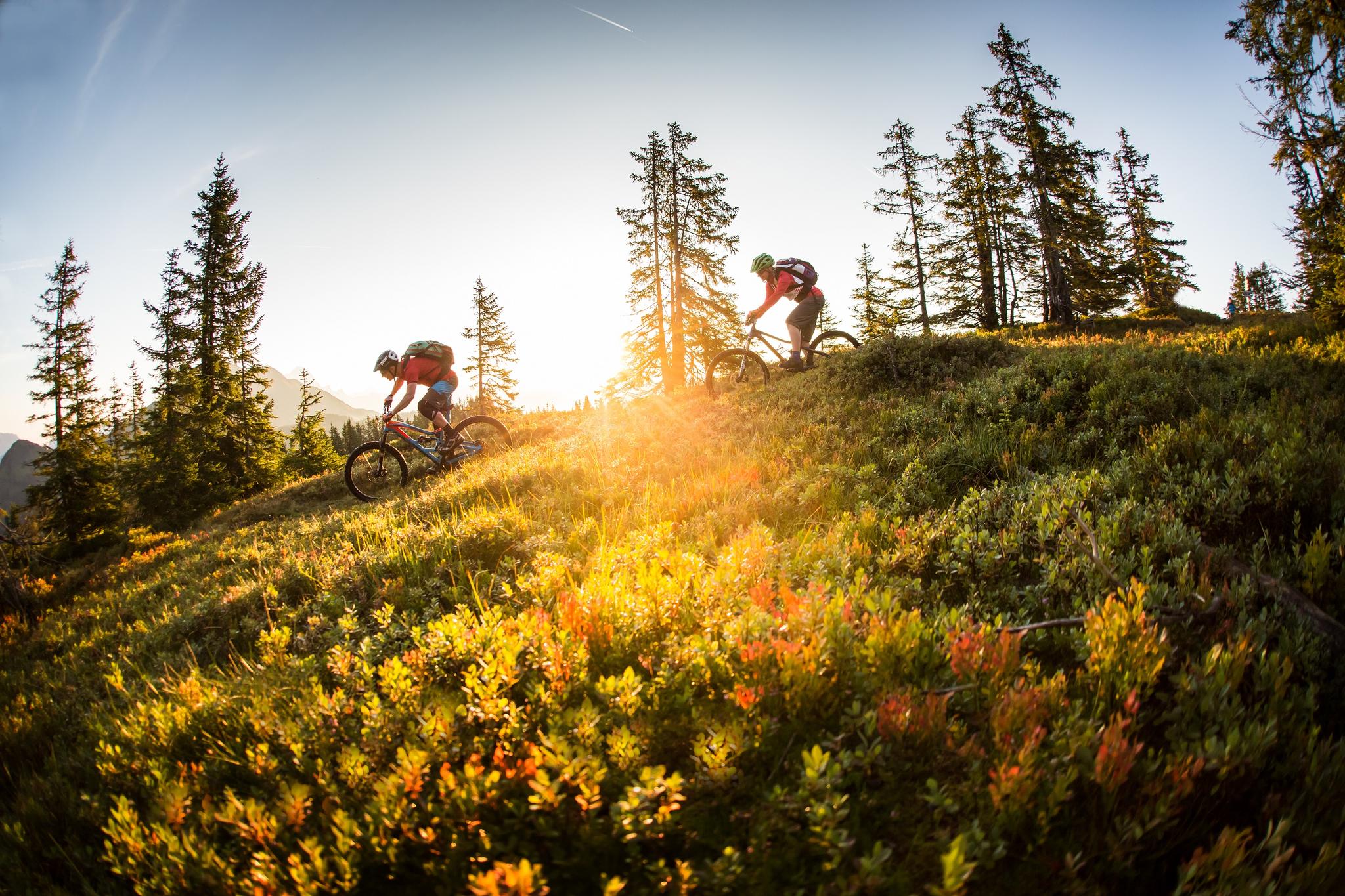 Die 20 Schönsten Mountainbike-Touren Rund Um Saalbach Hinterglemm | Komoot