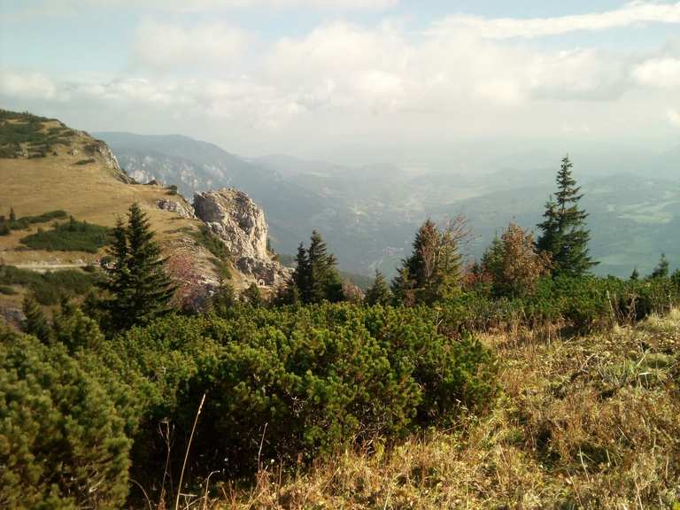 Die 10 schönsten Wanderungen rund um Payerbach Komoot