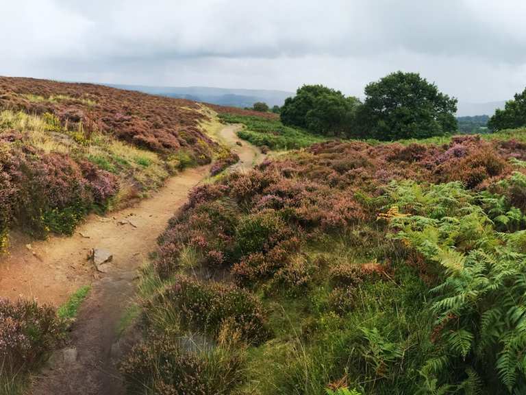 Top 20 Hikes and Walks around Matlock Bath Komoot