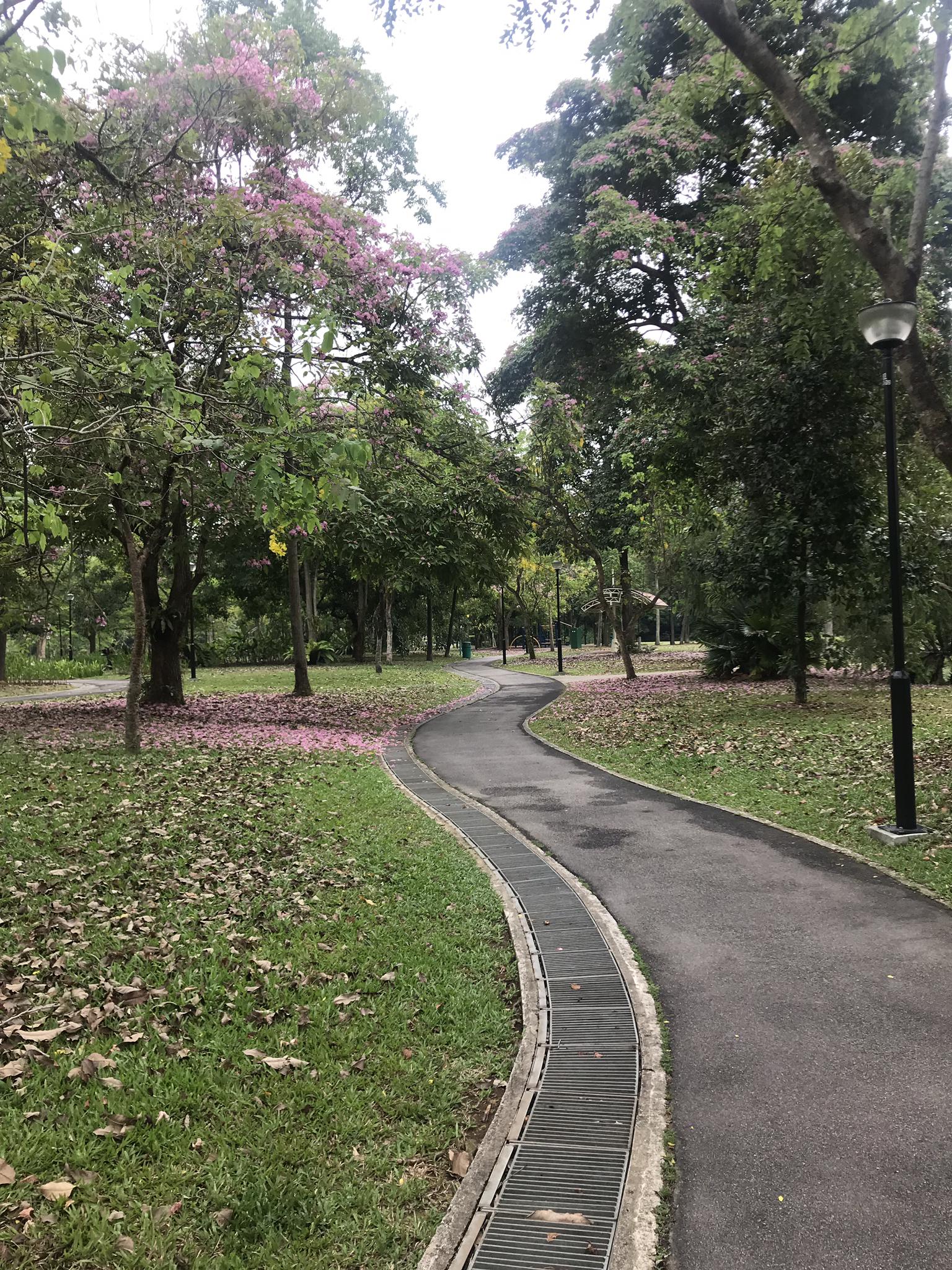 beautiful bike rides near me