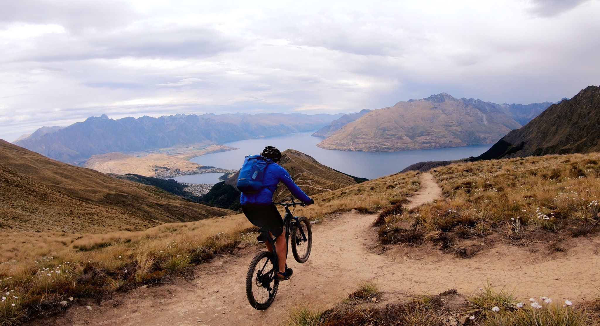 Mountain bike trails nz online