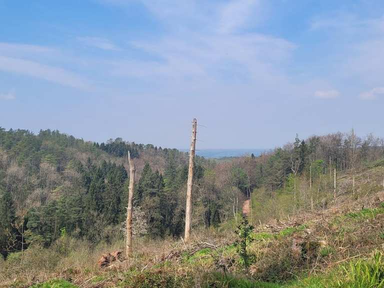 Attractions and Places To See around Shipham - Top 20 | Komoot