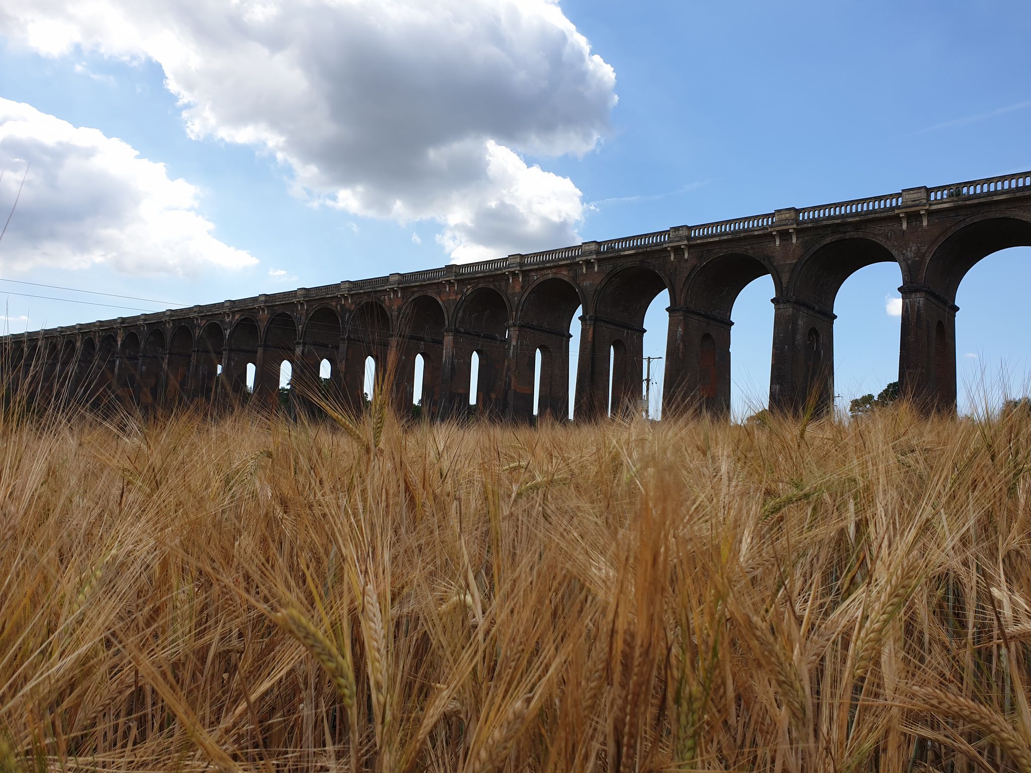 Top 20 Hikes and Walks around Haywards Heath Komoot