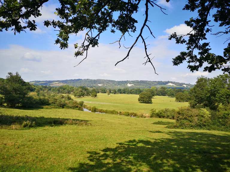 Top 5 Hikes and Walks around Charlwood Komoot