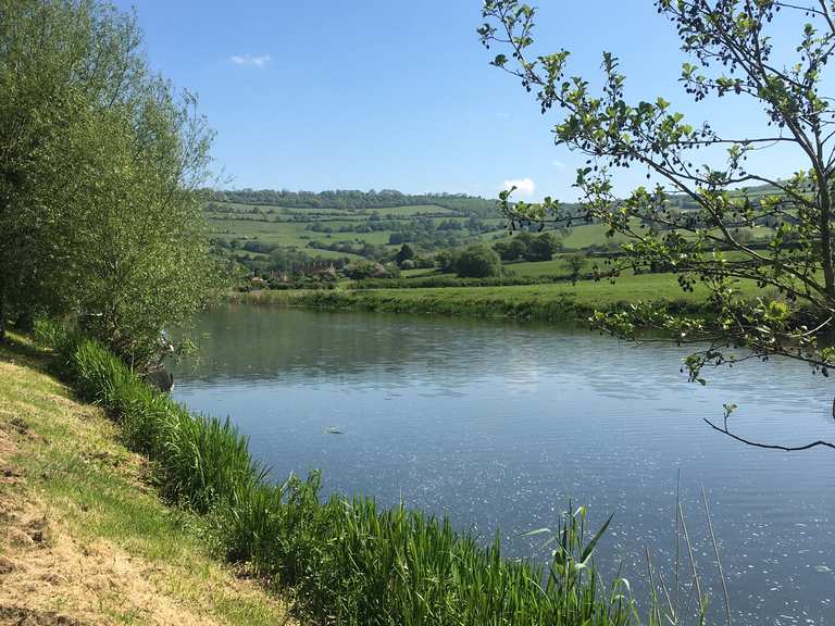 Top 10 Hikes and Walks around Saltford | Komoot