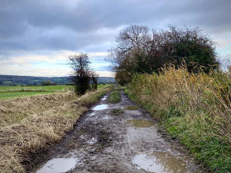 The best walks and hikes around Tickenham | Komoot