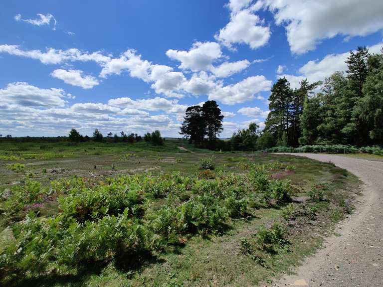 Top 5 Bike Rides and Cycling Routes around Ash | Komoot