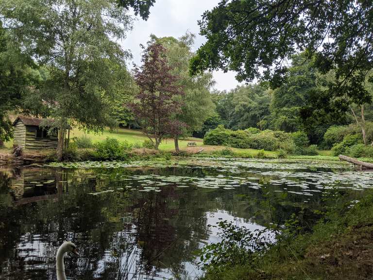 The best walks and hikes around Shere | Komoot