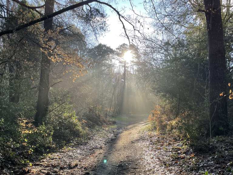 Top 20 Bike Rides and Cycling Routes around Shere Komoot