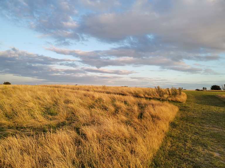 Die 5 schönsten Wanderungen rund um West Bergholt Komoot