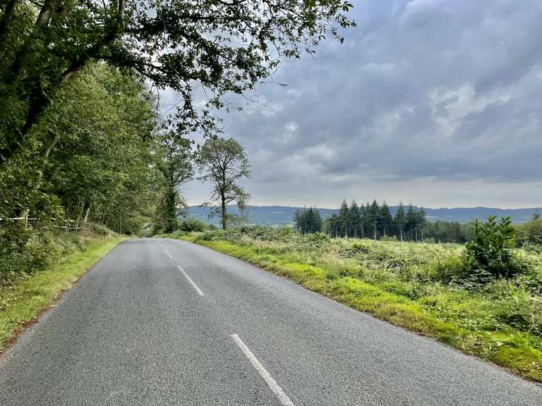 The best road cycling routes around Bramshott And Liphook | Komoot