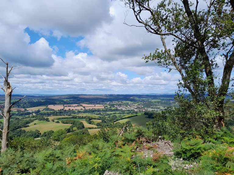 Top 10 Hikes and Walks around Colaton Raleigh | Komoot