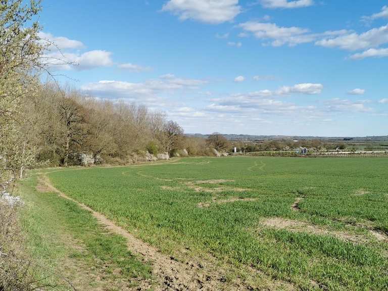The best walks and hikes around Gaydon | Komoot