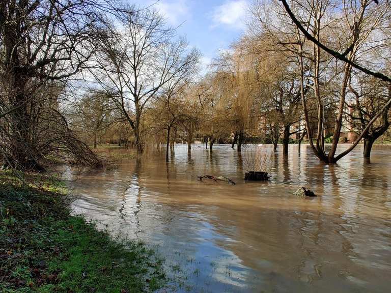 The best walks and hikes around Binton CP | Komoot