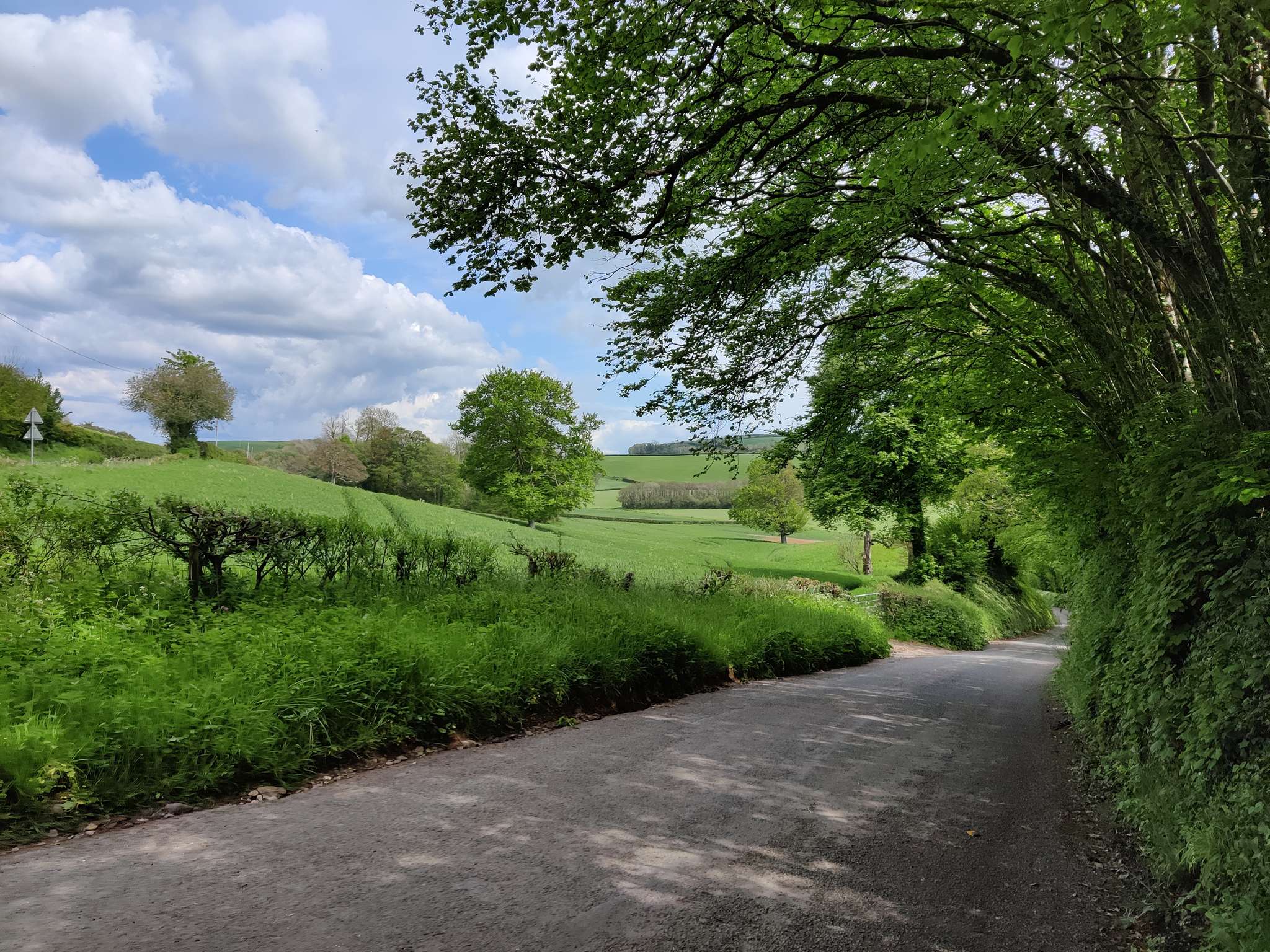 Top 9 Hikes and Walks around Modbury | Komoot